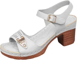 Chunky Block Heeled Sandals for Women Ankle Strappy Open Toe Dressy Heels Sandals Ladies Comfy Wedding Party Dress Shoes